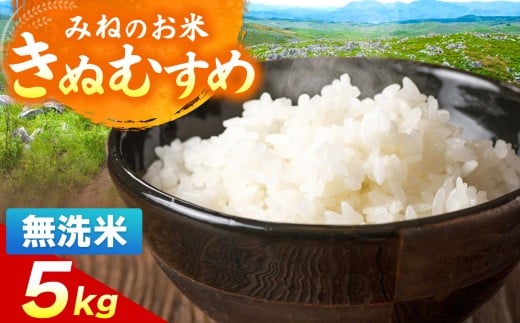 令和7年度産 きぬむすめ 無洗米 5kg ｜   無洗米  米 雑穀 お米 コメ 単一米 きぬむすめ 絹娘  山口 美祢 秋吉台