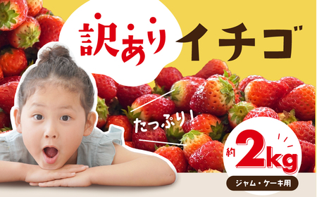 ≪先行予約≫ 訳ありイチゴ 約2kg 【ジャム用】 (約250g×8パック) 詰め合わせ イチゴ いちご 苺