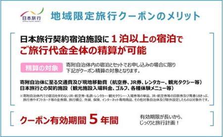長野県軽井沢町 　日本旅行　地域限定旅行クーポン90,000円分（Eメール発行）