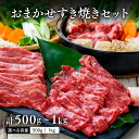 【ふるさと納税】A5 A4 黒毛和牛 おおいた和牛 すき焼き セット 最大 1kg 単量500g 選べる容量【1セット／2セット】おまかせ 部位 モモ 肩 ウデ 国産牛 霜降り ブランド牛 冷凍 送料無料 高評価