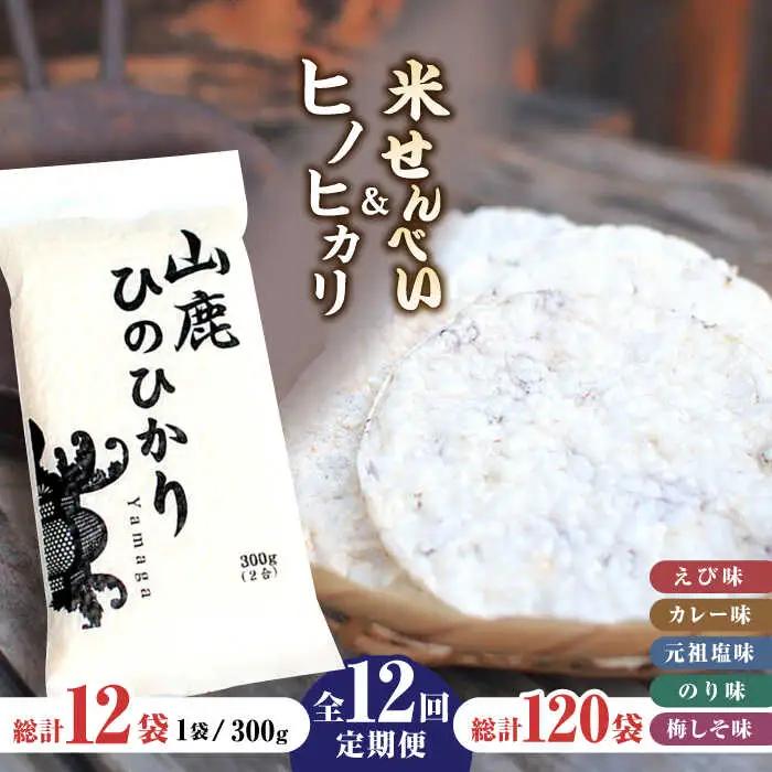 【12回定期便】【おつまみにも♪】米せんべい（えび味、カレー味、元祖塩味、のり味、梅しそ味）&amp; ヒノヒカリ【せんべい工房】[ZBQ016]