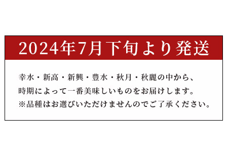 先行予約【2024年7月下旬～発送分】熊本県産 梨 約5kg 幸水梨 幸水 新高梨 新高 新興梨 新興 豊水梨 豊水 秋月梨 秋月 秋麗梨 秋麗 果物 くだもの フルーツ 旬 旬の果物 旬のフルーツ 