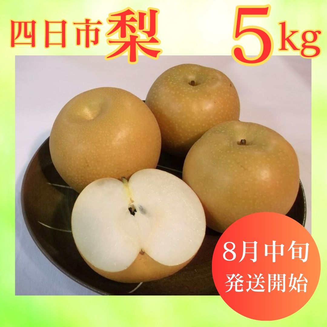【ふるさと納税】【先行予約】水谷さんが真心こめて育てた梨 5kg