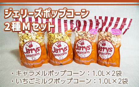 ポップコーン M 2種 各2袋 ポップコーン