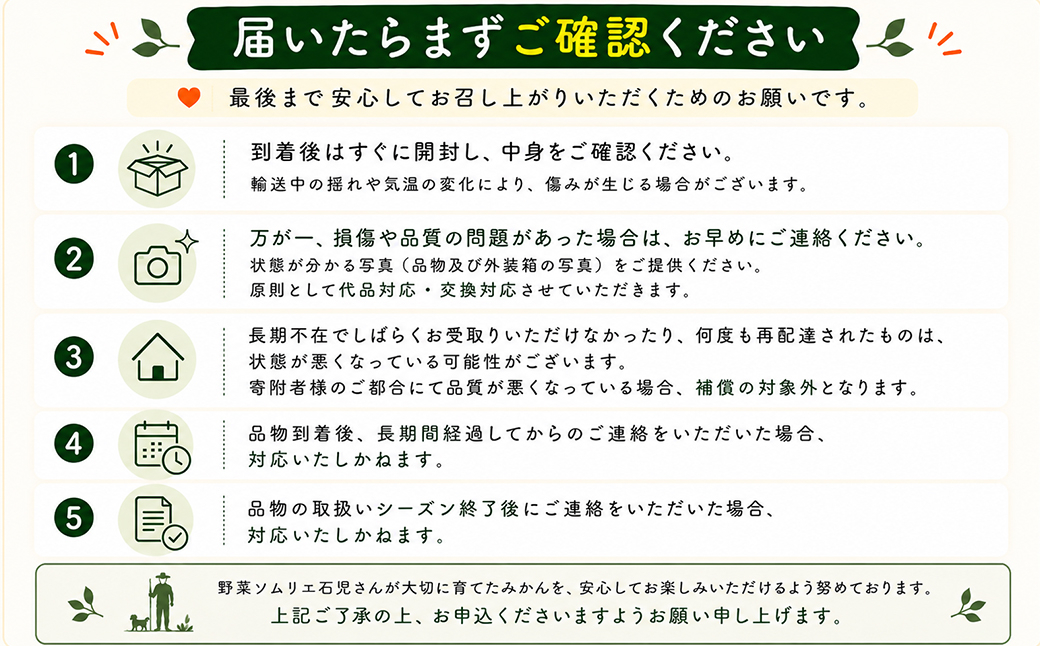 野菜ソムリエ石児さんの「特選 温州みかん 5kg」 ／ ミカン 柑橘 5kg 5キロ 柑橘類 甘い 温州みかん フルーツ 先行予約 11月 12月 1月 11月発送 12月発送 1月発送 ＜103-0