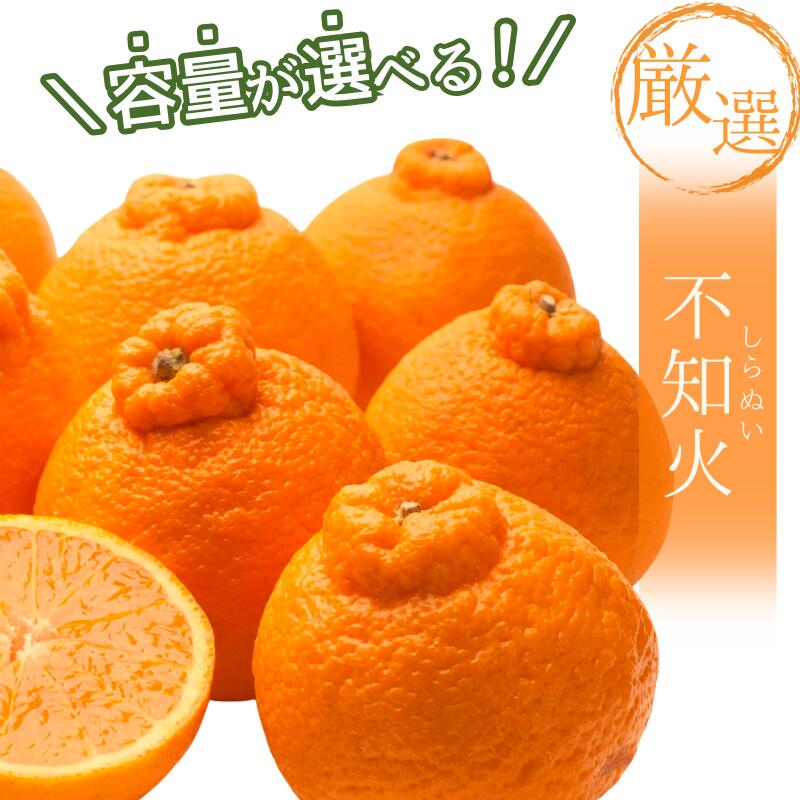 【ふるさと納税】【選べる容量】＜先行予約＞厳選 不知火 1kg 2.5kg 5kg 7.5kg 10kg【デコポンと同品種・人気の春みかん】＜2月より発送＞ ※北海道・沖縄・離島への配送不可 / しらぬい デコポン みかん ミカン 柑橘 果物 くだもの フルーツ 果実
