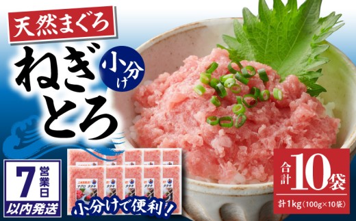【7営業日以内に発送】【神奈川県漁連】天然まぐろ ねぎとろ 1kg（100g×10パック）　M077-015-02-sp