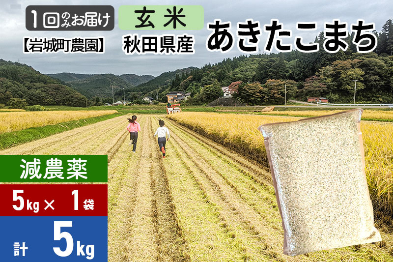 
            【玄米】〈減農薬〉秋田県由利本荘市産 あきたこまち 5kg (5kg×1袋) 令和6年産 新鮮パック 低農薬
          