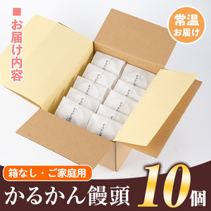 isa440 ご家庭用かるかん饅頭(10個)和菓子 まんじゅう お菓子 鹿児島 伝統菓子 銘菓 軽羹 セット 贈り物 ご進物 プレゼント 贈答【新富大生堂】