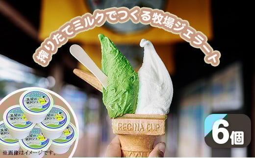 
搾りたてミルクでつくるジェラート6個セット（徳山牧場アイス工房）
