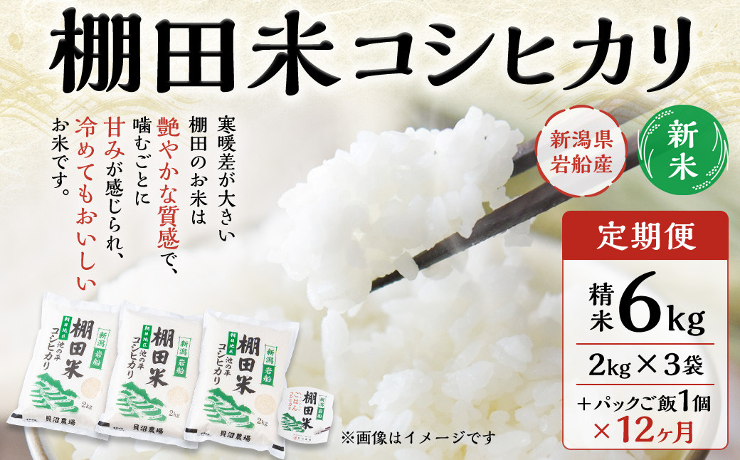 
            【新米受付・令和7年産米】【定期便：12ヶ月連続でお届け】新潟県村上市岩船産 棚田米コシヒカリ 6kg（2kg×3袋）+パックごはん(150ｇ×1個) ×12ヶ月 1067147N 毎月 新米予約 お米 白米 こしひかり 精米 村上市 
          