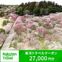 【ふるさと納税】 楽天トラベルクーポン 茨城県水戸市の対象施設で使える楽天トラベルクーポン 寄付額90,000円（BI-13）