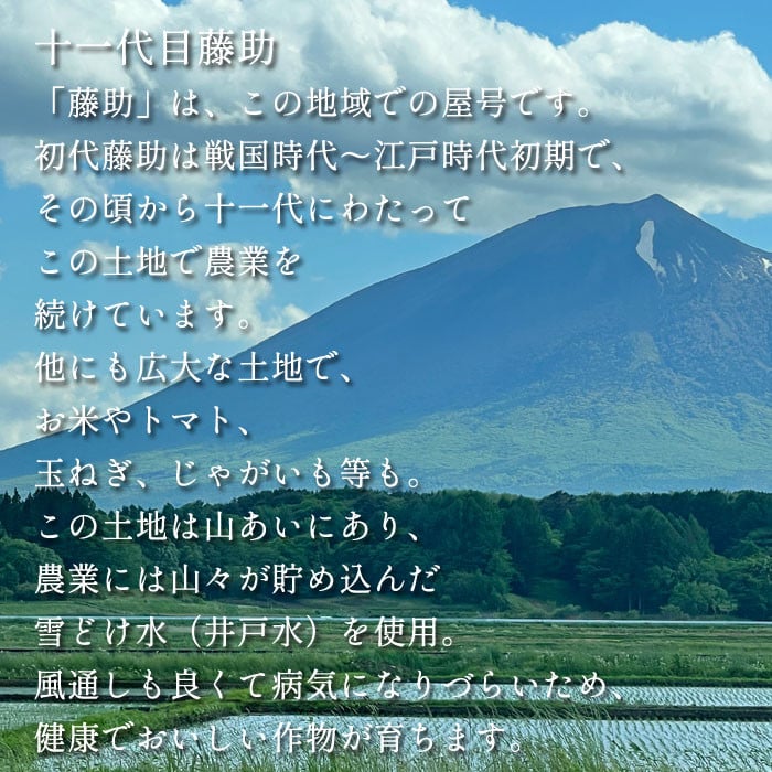 【2024年11月発送開始】 令和6年産 新米 岩手県産 ササニシキ 精米 10kg ／  十一代目藤助 米 産地直送 農家直送