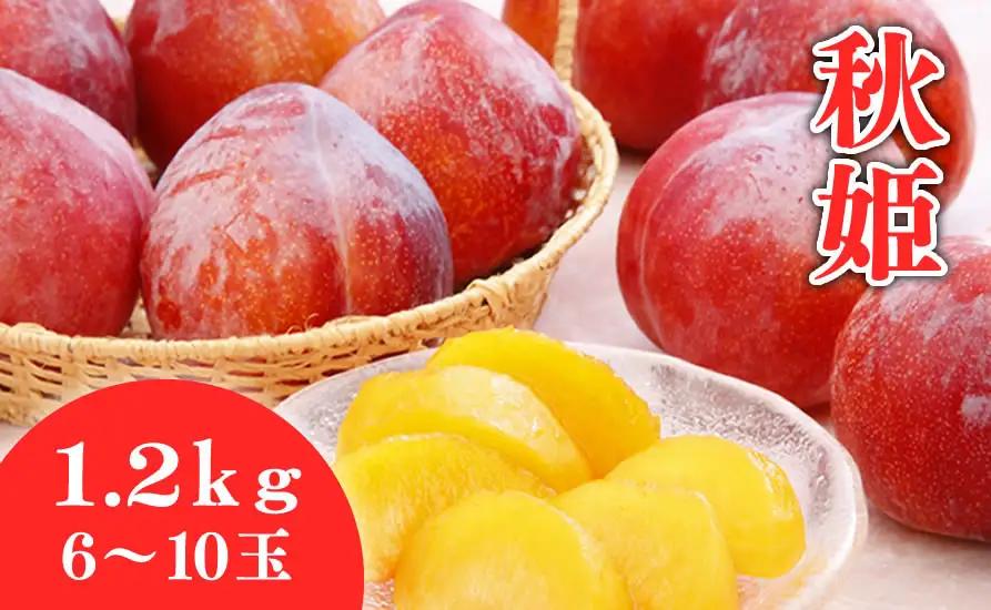 プラム 秋姫 1.2kg スモモ 果物 山形 すもも