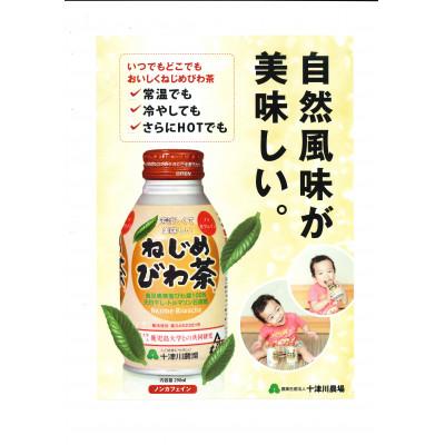 ふるさと納税 南大隅町 ねじめびわ茶　ボトル缶【1ケース】(24本入り) |  | 02
