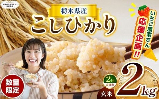 【定期2回】 訳あり 定期便 数量 限定 令和8年度産 こしひかり 玄米 約 2kg | とちぎの星 ミルキークイーン コシヒカリ 玄米 白米 ごはん おいしい  ふるさと納税 那珂川町 栃木県【栃木県共通返礼品】