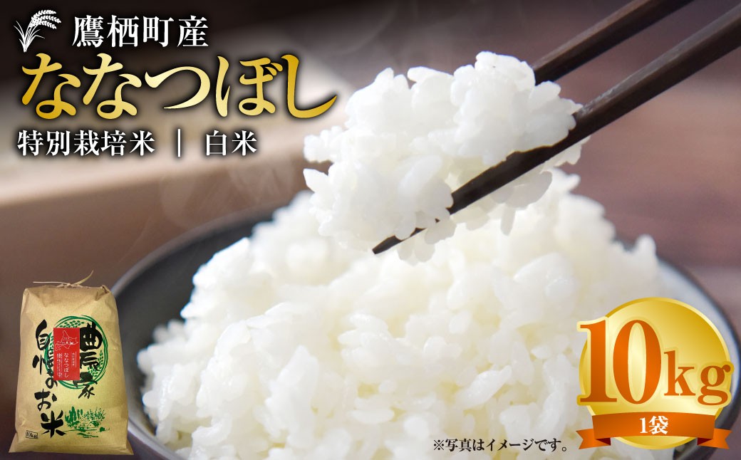 
                  【令和7年産】 ななつぼし （ 白米 ） 10kg 北海道 鷹栖町 たかすタロファーム 米 コメ こめ ご飯 お米
                