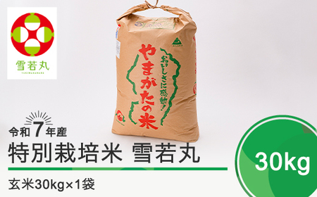 新米 米 雪若丸 30kg 令和7年産 【2025年12月上旬発送】大石田町産 特別栽培米 玄米 備蓄 防災 支援 農家 キャンプ 長期保存 先行予約 ※沖縄・離島への配送不可 ja-yugxa30-12f