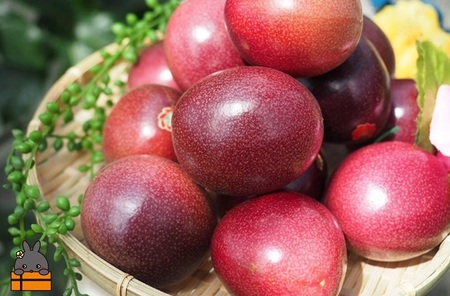 世界自然遺産の島 徳之島 ありがとう（おぼらだれん）定期便 ( 定期便 ５等級 鹿児島黒牛 果物 野菜 牛肉 フルーツ マンゴー パッションフルーツ じゃがいも 黒毛和牛 ステーキ すき焼き しゃぶし