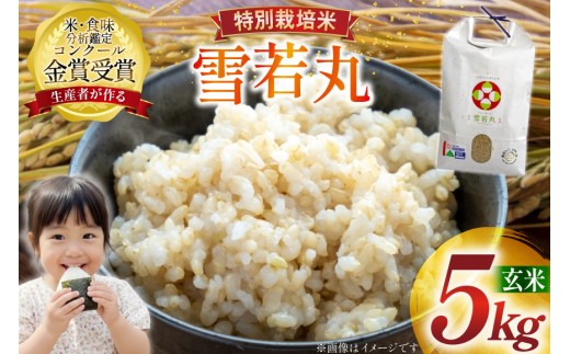 米 令和7年産 雪若丸 5kg 特別栽培米 玄米 [農家の蔵出し米生産組合 山形県 高畠町 tk06ays900005] コメ ご飯 ごはん お米 ブランド米