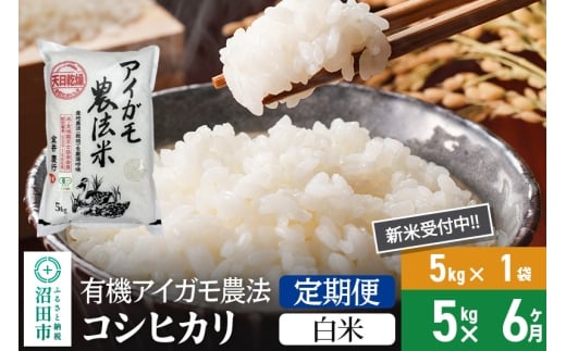 【白米】《定期便6回》令和7年産 新米 有機アイガモ農法コシヒカリ 5kg×1袋 金井農園