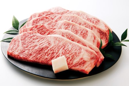 【冷蔵・年6回お届け定期便】 特選 黒田庄和牛ロースプレミアムセット（焼肉・すき焼き・しゃぶしゃぶ・ステーキから選べます！）　（300-2）