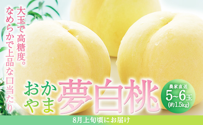 桃 2026年 先行予約 おかやま 夢 白桃 5～6玉入り(約1.5kg) 贈答用 もも モモ 岡山県 赤磐市産 国産 フルーツ 果物 ギフト 