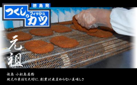 【定期便】津久司蒲鉾の元祖「フィッシュカツ」10枚入り×3カ月分　とくしま特選ブランド認定！ほんのりピリ辛がクセになる！ 練り物　おかず　酒の肴 ※離島への配送不可