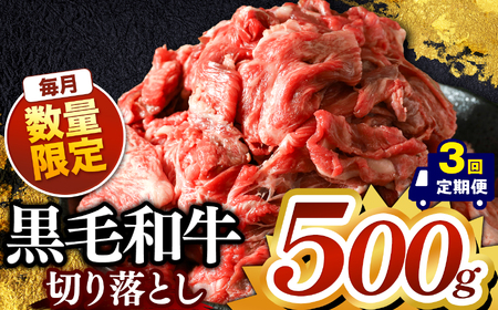 【定期便3回】栃木県産黒毛和牛切り落とし　500g 真岡市 栃木県 送料無料
