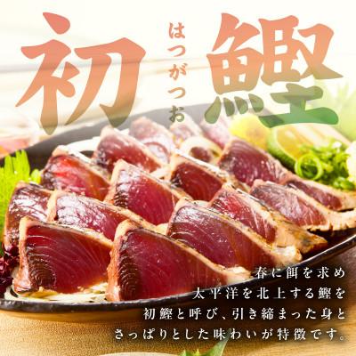 ふるさと納税 泉佐野市 カツオたたき 2kg(6〜12節)  特製タレ付 初鰹 訳あり サイズ不揃い お刺身 kgp0128 |  | 01