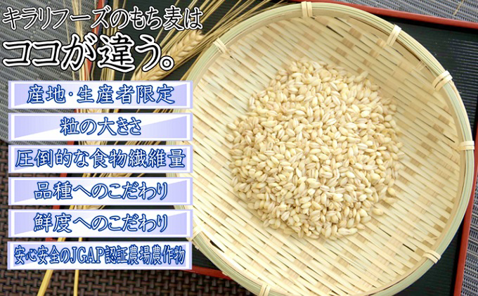 もち麦 国産 キラリモチ 特選もち麦 2.3kgセット 広島県安芸高田産