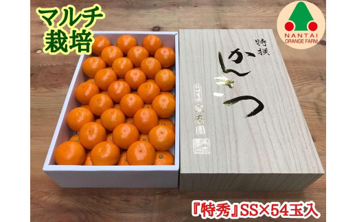 
マルチ栽培 有田みかん 化粧箱 特秀 小玉 SS サイズ 54玉入 南泰園
