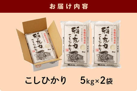 【令和5年産】浜田産「稲の底力こしひかり」10kg お取り寄せ 特産 お米 精米 白米 ごはん ご飯 コメ 新米 新生活 応援 準備 10キロ 【120】