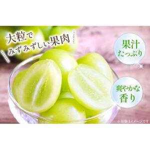 【2026年発送 先行受付】山梨県山梨市産 朝採れ シャインマスカット 2.0kg (3～4房)【配送不可地域：離島・沖縄県】【1691269】