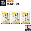 【ふるさと納税】【玄米】令和6年産 金のいぶき 6kg（2kg×3袋）