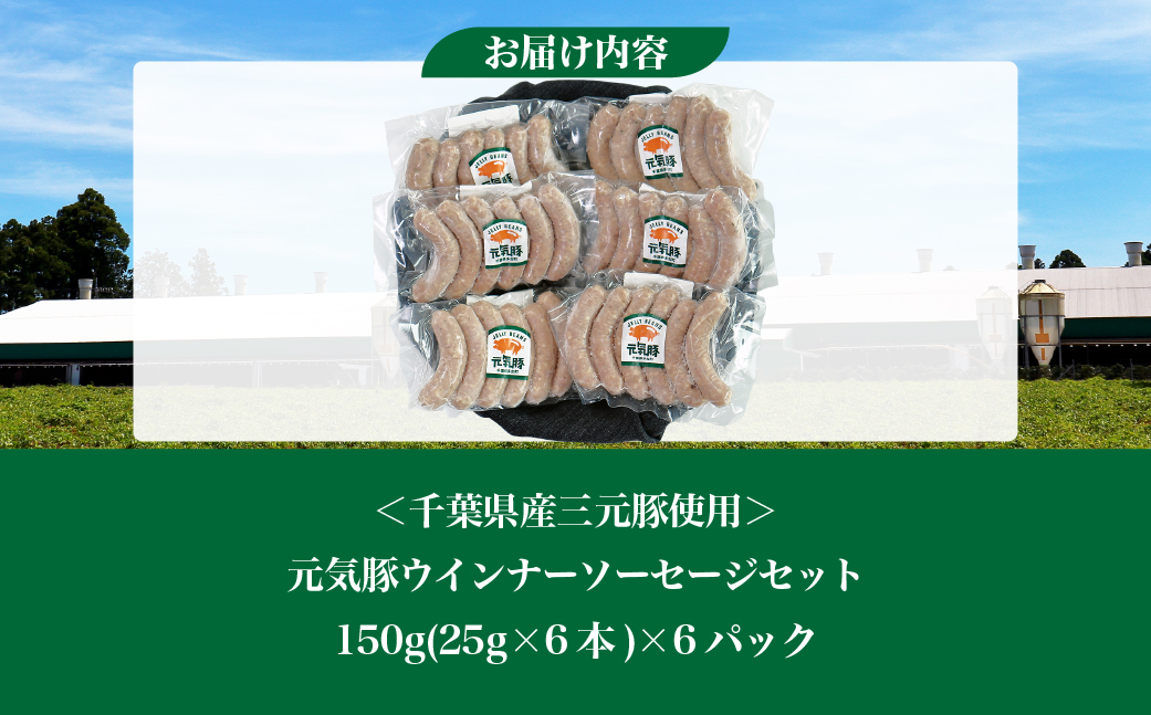【千葉県多古町産】元気豚 ウインナーソーセージセット(36本入り)【配送不可地域：離島】【1655497】 TAKB070