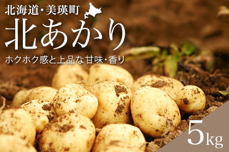 じゃがいも 【令和８年産予約受付】黒木農場 北あかり5kg じゃがいも [006-29]