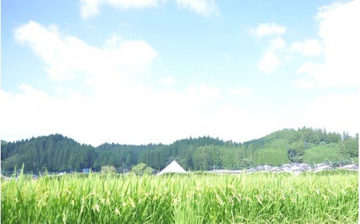 令和７年産 南小国町産のお米あきげしき ４kg 南小国産 精米 玄米 米 白米 お米 ご飯 産地直送 SMO南小国 熊本 阿蘇 南小国町 送料無料