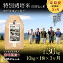 【ふるさと納税】【通年受付】≪令和6年産　≫【定期便／全3回】農家直送！魚沼産コシヒカリ特別栽培「白羽毛の米」精米(10kg×1袋)×3回 30kg　定期便・ お米 　お届け：入金の翌月以降発送。通年受付にて、月1回全3回お届けいたします。