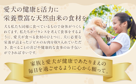 おやつ 犬 犬用 犬のおやつ 無添加 ジビエ ジャーキー 3種 (1袋50g) 詰め合わせ セット 株式会社BINGO《30日以内に出荷予定(土日祝除く) 》ペット 健康 栄養 プレミアム 新鮮