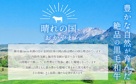 セット1.3kg(霜降り650g+赤身650g) 数量限定 牛肉 冷凍 黒毛和牛 《30日以内に出荷予定(土日祝除く)》 個別 取分け 小分け 個包装 赤身 霜降り 岡山県 笠岡市 牛 牛肉 和牛 焼
