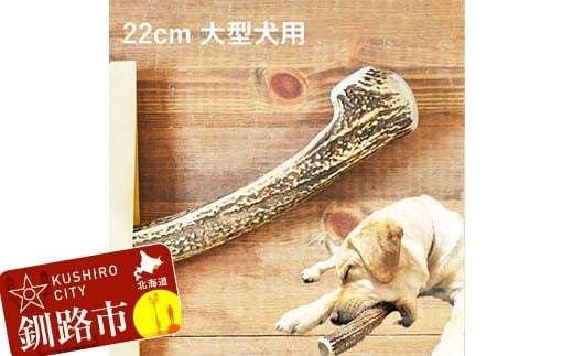 エゾ鹿の角ガム 22cm 大型犬用 北海道産 国産 無添加 犬用ガム 天然鹿角 長持ち デンタルケア ペット おやつ F5F-0066