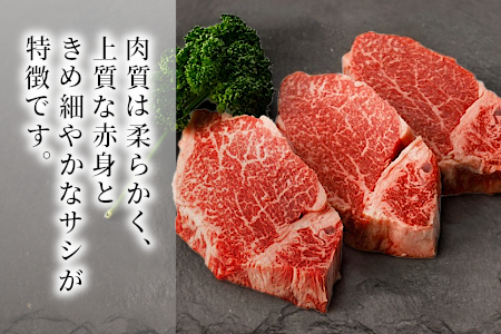国産黒毛和牛 根羽こだわり和牛 ヒレステーキ 6枚 600g ( 100g×6) 希少部位 ヒレ ステーキ 40000円