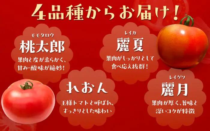 【2週間以内に発送！】 大玉トマト 2種 詰合せ 4kg [AUAH013]大玉トマト