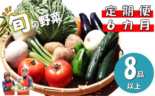 旬の野菜を８品以上　毎月6カ月連続お届けします！