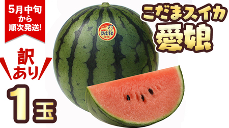 【訳あり】 際まで甘い こだまスイカ 愛娘 （１玉） 【2026年5月中旬より発送開始】7000  [BC060sa]