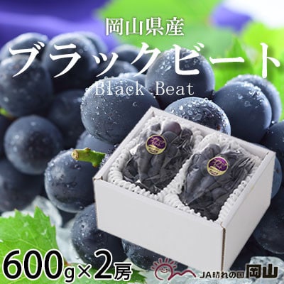 岡山県産 ブラックビート 600g×2房【配送不可地域：離島・北海道・沖縄県】【1400360】