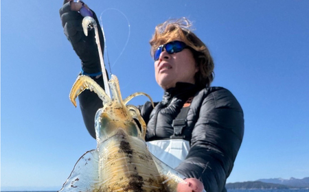 ローハイド紫煙（シエン）3号3点アソートセット 着脱シンカー イカ釣り 専用エギ 岐阜市 / ジークラック[ANIG002]