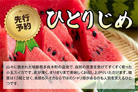 【2025年5月上旬～発送 先行予約】小玉スイカ ひとりじめ (2玉) 令和7年 夏 スイカ 食べきりサイズ 西瓜 フルーツ 果物 旬の味覚 すいか 甘い 産地直送 008-0663