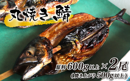 丸焼き鯖 原料600g以上(焼き上がり500g以上)×2本 小浜市 / 真魚源【配送不可地域：北海道・沖縄・離島】 [BFCJ005]  